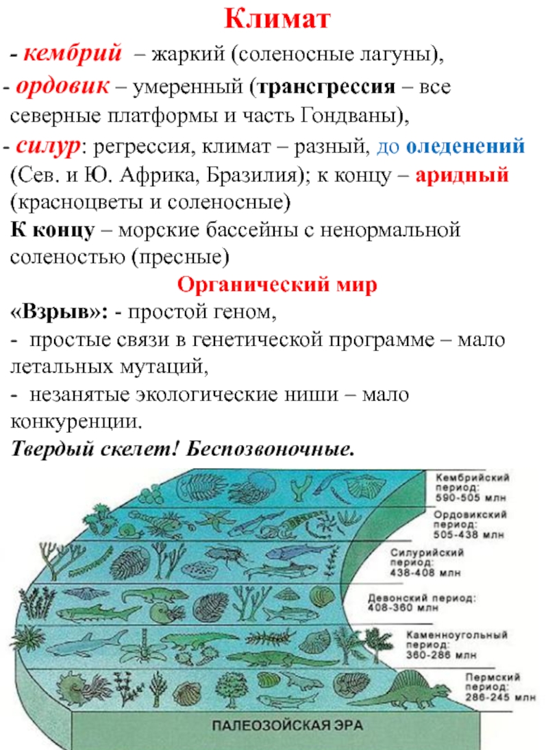 Климат в периоде. Кембрий климат. Кембрий период климат. Кембрийский период рельеф и климат. Кембрий геологические события.