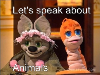 Let's speak about




Animals