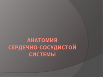 Анатомия сердечно-сосудистой системы
