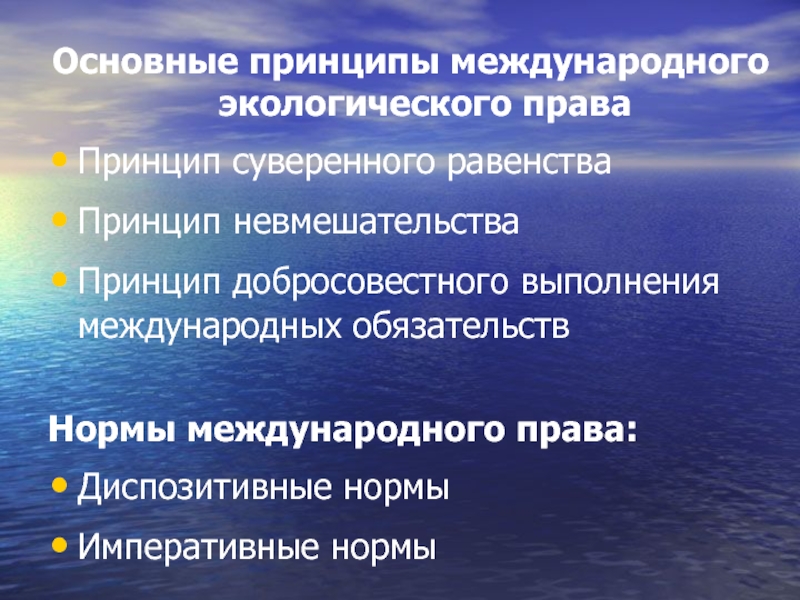 Какой основной принцип международных. Принципы международного экологического права. Международные экологические принципы. Международное экологическое право принципы. Основополагающие принципы международного экологического права.