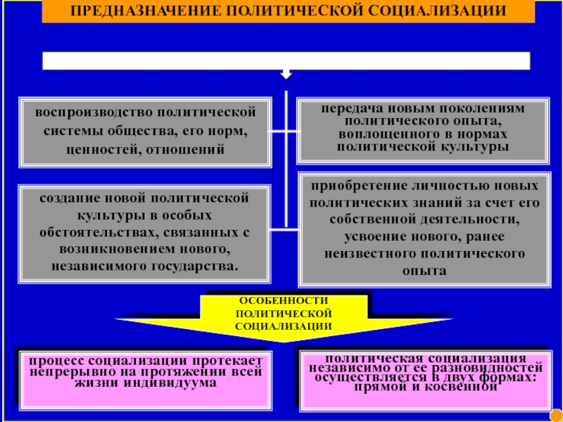 Функция политической социализации политической системы