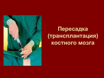 Пересадка (трансплантация) костного мозга