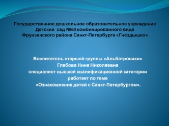 Государственное дошкольное образовательное учреждениеДетский  сад №60 комбинированного видаФрунзенского района Санкт-Петербурга Гнёздышко