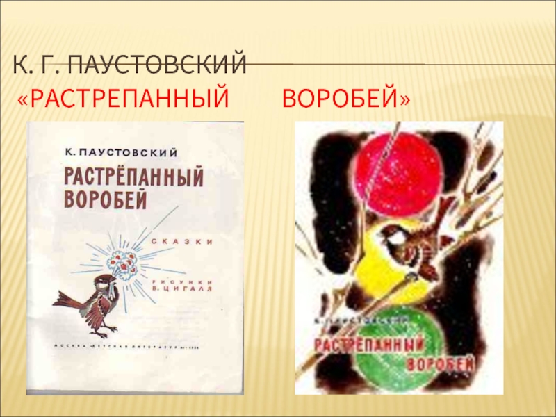 План паустовский растрепанный. Растрепанный Воробей Паустовский. Паустовский растрёпанный Воробей. План растрепанный Воробей Паустовский.