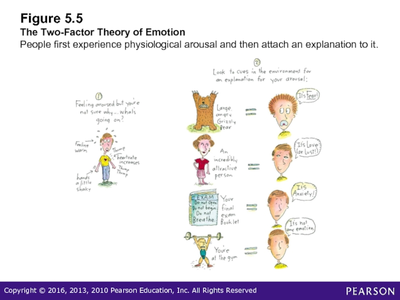 Figure 5.5 The Two-Factor Theory of Emotion People first experience physiological