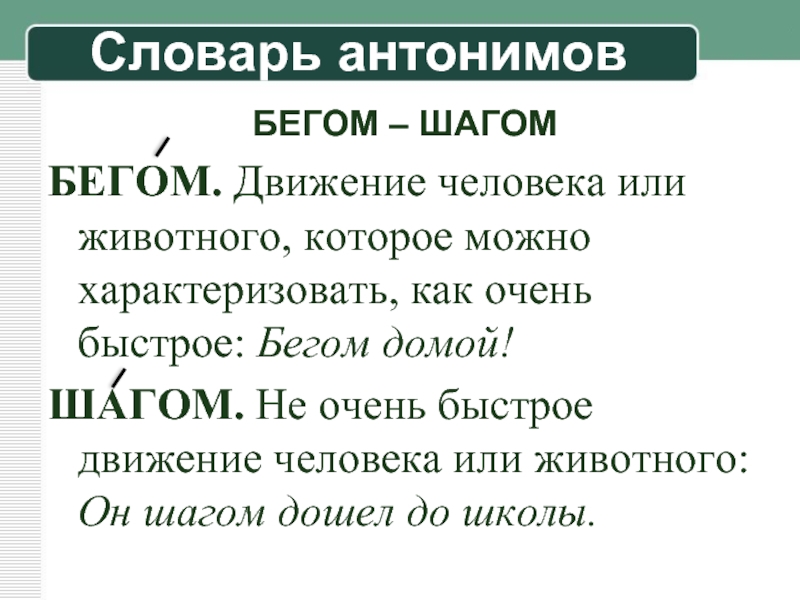 Словарная статья 6 класс пример слова