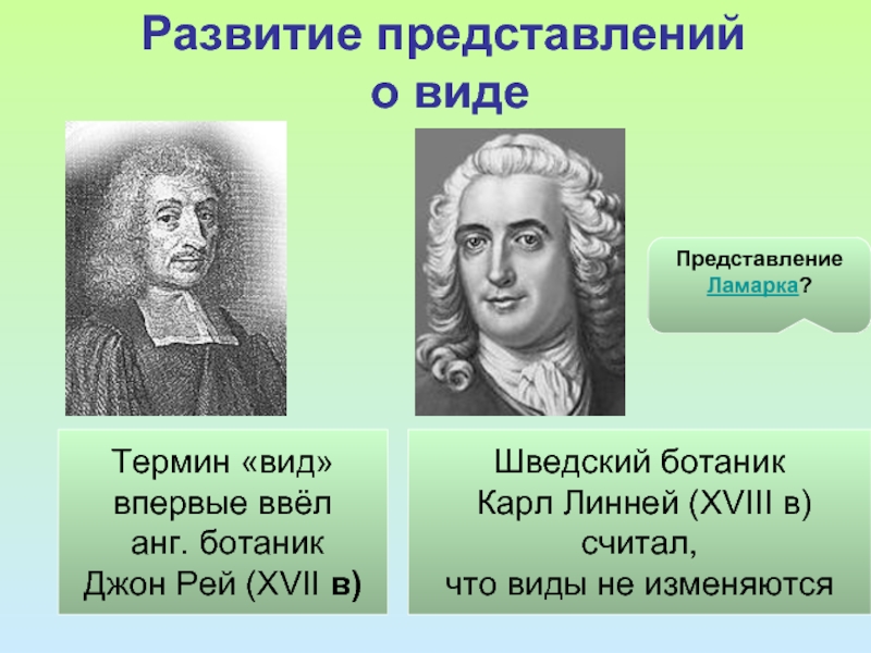 Впервые виду. Рей Линней ботаники. Впервые представление о виде ввел. Вид термин Линней. Джон Рей эволюционные представления.