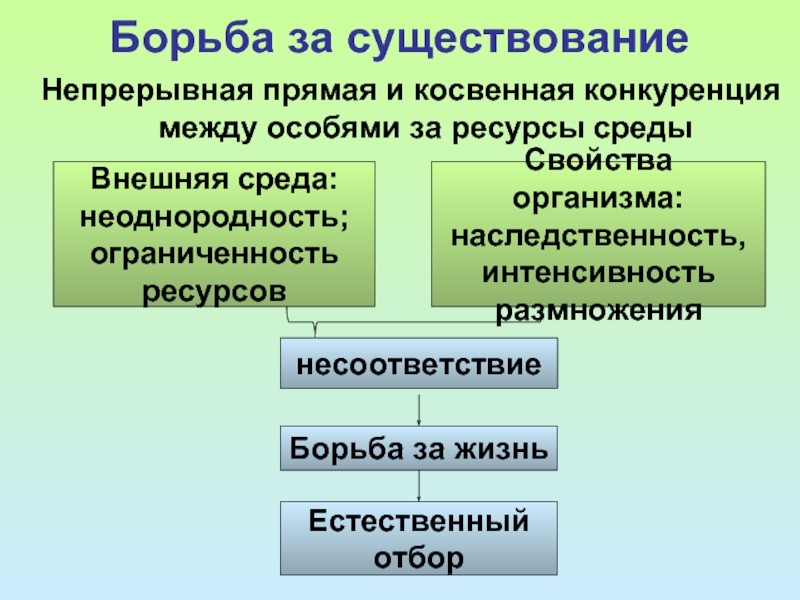 Интенсивность размножения организмов