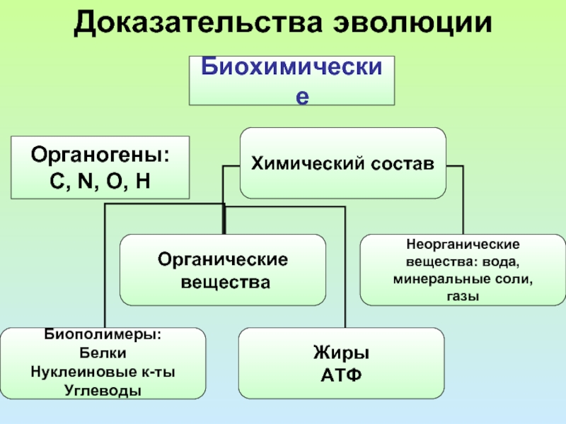 Органогены. Химический состав клетки органогены. Биохимические доказательства эволюции схема. Химические элементы клетки органогены.