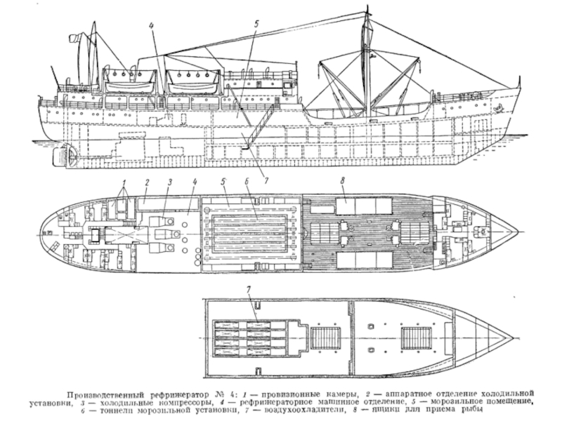 Рефрижераторное судно схема