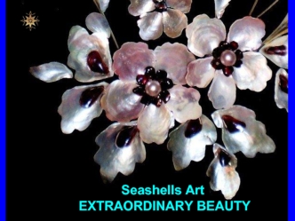 Seashells Art
 EXTRAORDINARY BEAUTY