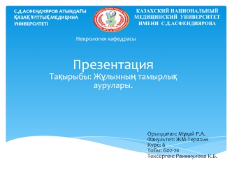 Жұлынның тамырлық аурулары