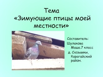 Тема Зимующие птицы моей местности