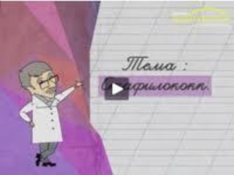 Коктар Cтафилококтар