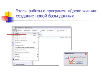 Этапы работы в программе Древо жизни: создание новой базы данных