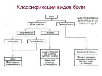 Классификация видов боли