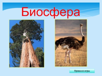 Игра-викторина. Биосфера