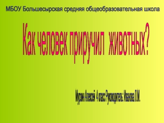 Как человек приручил 
животных?