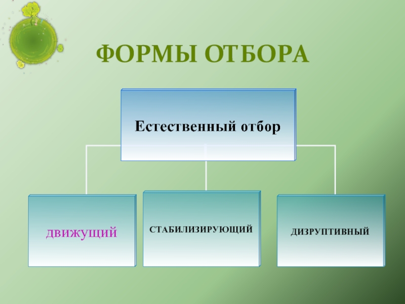 Галерея портретов исполнителей 4 класс пнш презентация