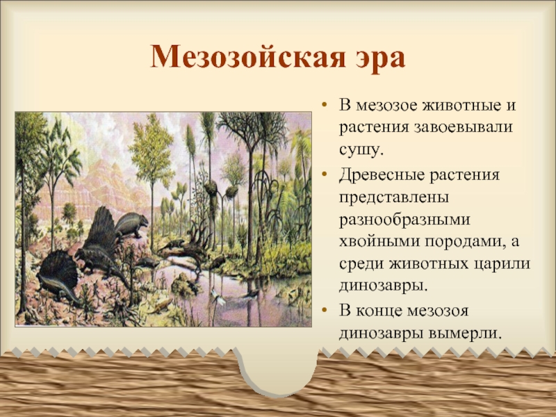 Растения мезозойской эры список. Растения мезозойской эры таблица. Растения мезозойской эры с названиями. К понятию “Мезозойская Эра” относятся.