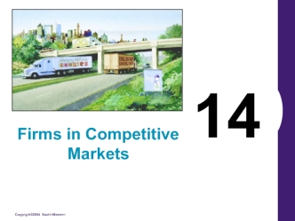 Firms in competitive markets. (Lecture 14)