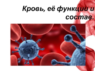 Кровь, её функции и состав