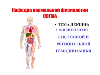 Физиология системной и региональной гемодинамики