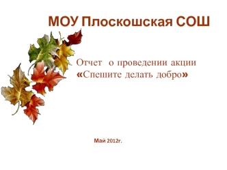 МОУ Плоскошская СОШ