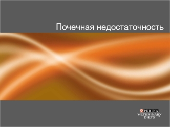 Почечная недостаточность