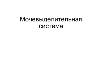 Мочевыделительная система