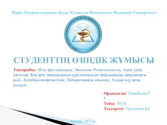 Көк ірің таяқшасы. Экология. Резистентность. Көк ірің таяқшасының ауруханаішілік инфекциялар дамуындағы ролі