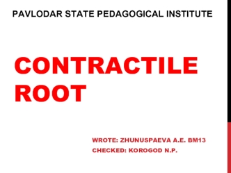Contractile Root