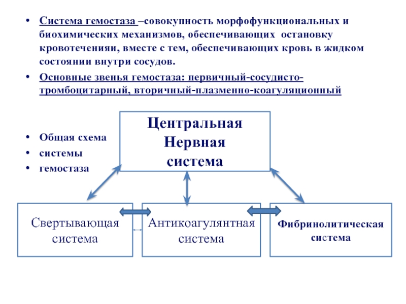 Звенья гемостаза. Основные звенья гемостаза. Схема коагуляционной структуры. Биохимические механизмы сохранения гемостаза.