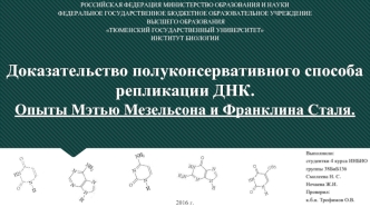 Полуконсервативный способ репликации ДНК