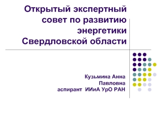 Открытый экспертный совет по развитию энергетики Свердловской области