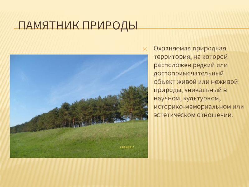 Находясь на территории природного. Памятники природы. Памятник природы рассказ. Сообщение о памятнике природы. Памятник природы это кратко.