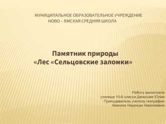 Муниципальное образовательное учреждениеНово – Ямская средняя школа