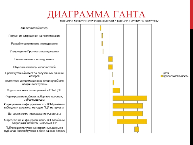 Что показывает диаграмма ганта но не показывает матрица ответственности