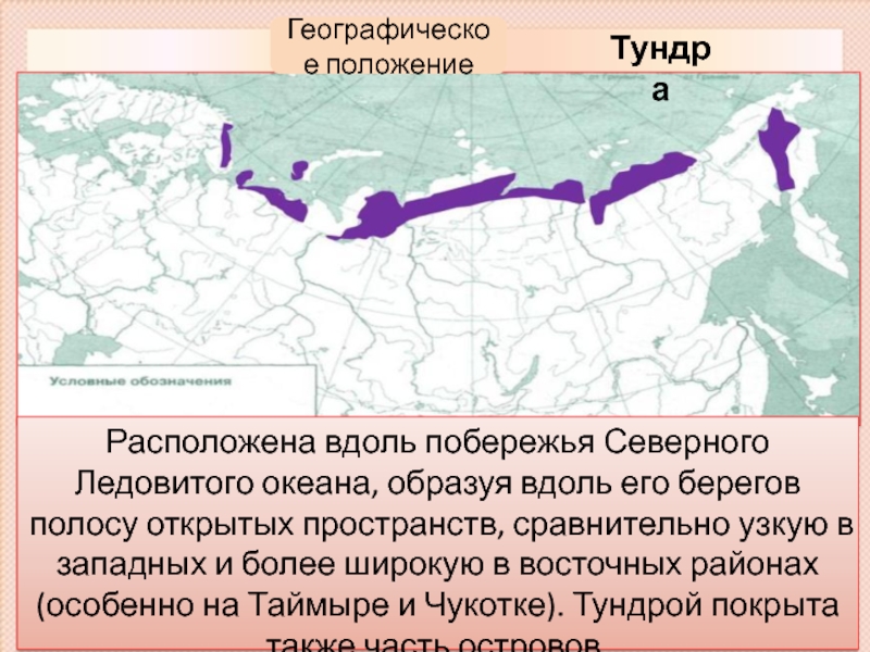 Зона тундры расположена на севере россии. Географическое положение тундры в России. Географическое положение тундры. Геогрфиескоеположение тундры. Географическое расположение тундры.