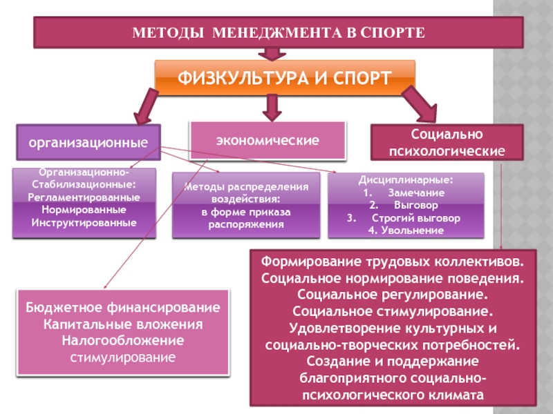 Менеджмент в спортивной школе презентация