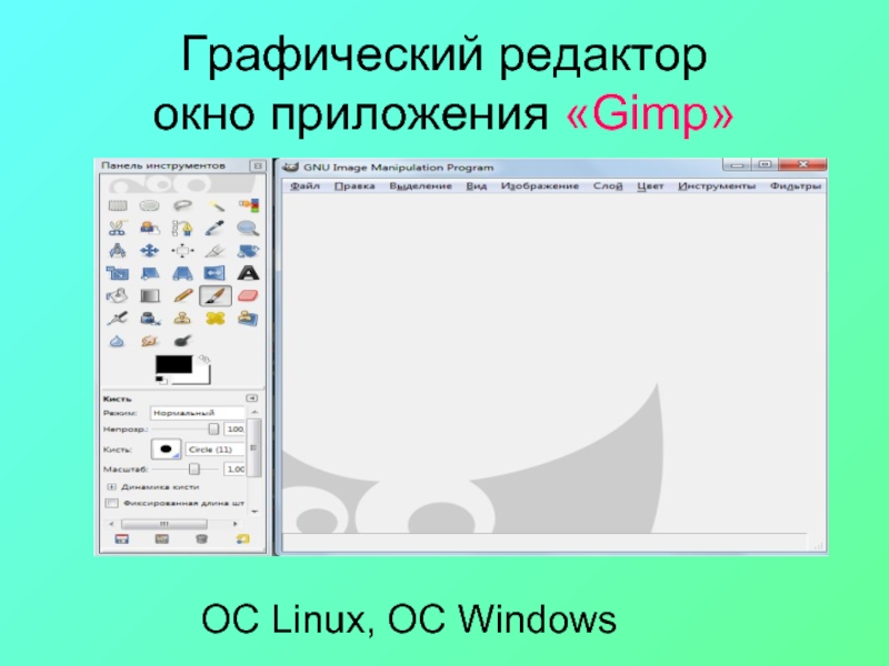 Программа графический редактор. Графический редактор. Окно графического редактора gimp. Современные графические редакторы. Логотипы редактор графический редактор.