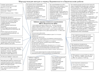 Маршрутизация женщин в период беременности в Бирилюсском районе