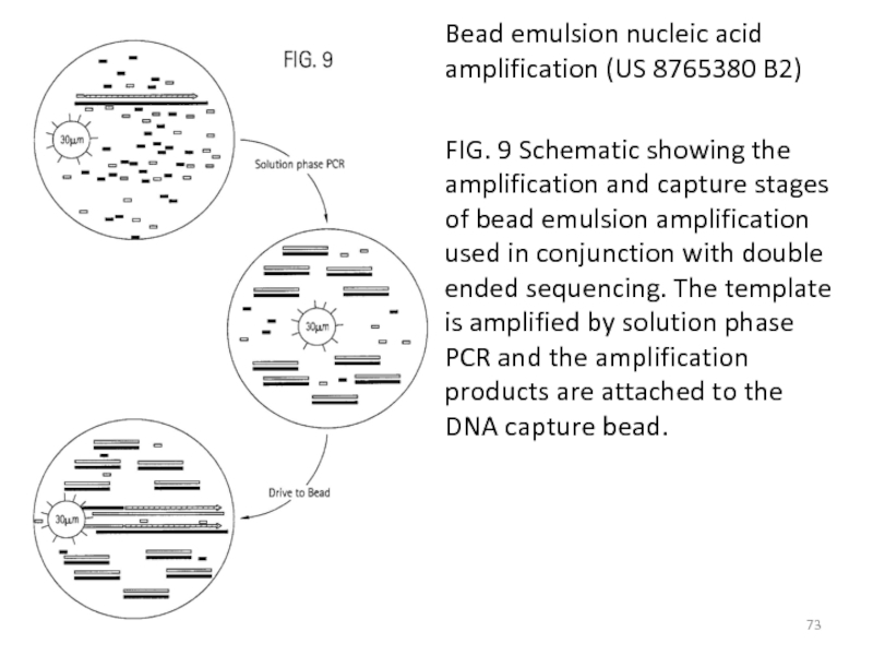 Bead emulsion nucleic acid amplification (US 8765380 B2) FIG. 9 Schematic showing the