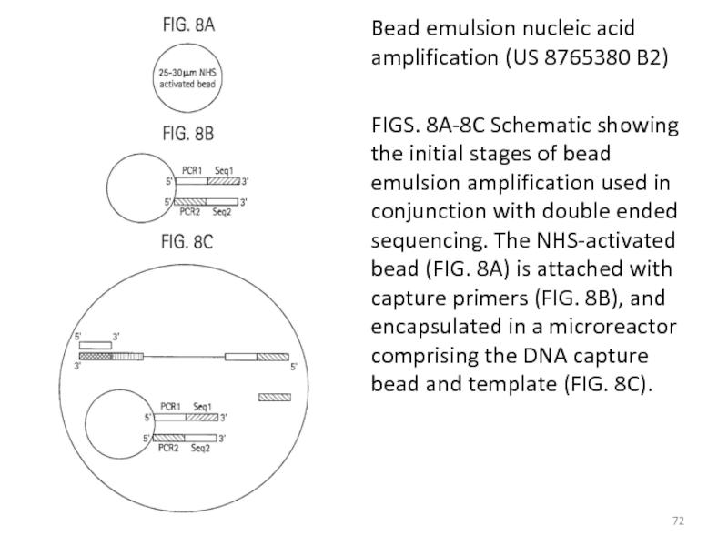 Bead emulsion nucleic acid amplification (US 8765380 B2) FIGS. 8A-8C Schematic showing the