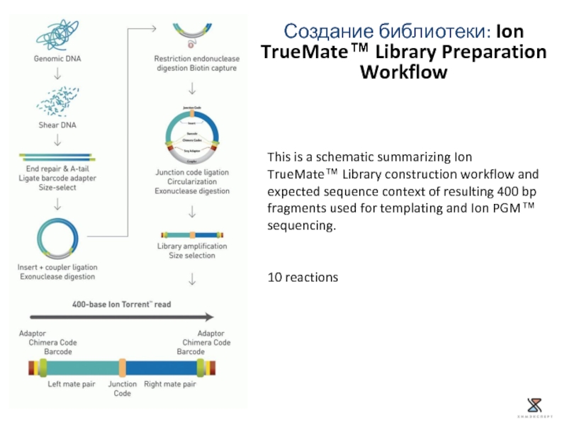 Создание библиотеки: Ion TrueMate™ Library Preparation Workflow This is a schematic summarizing