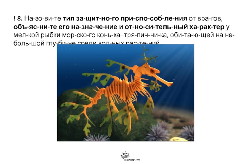 Тип приспособления. Морской конёк-тряпичник приспособления. Тип защитного приспособления у морского конька-Тряпичника. Назовите Тип защитного приспособления. Тип приспособления у конька Тряпичника.