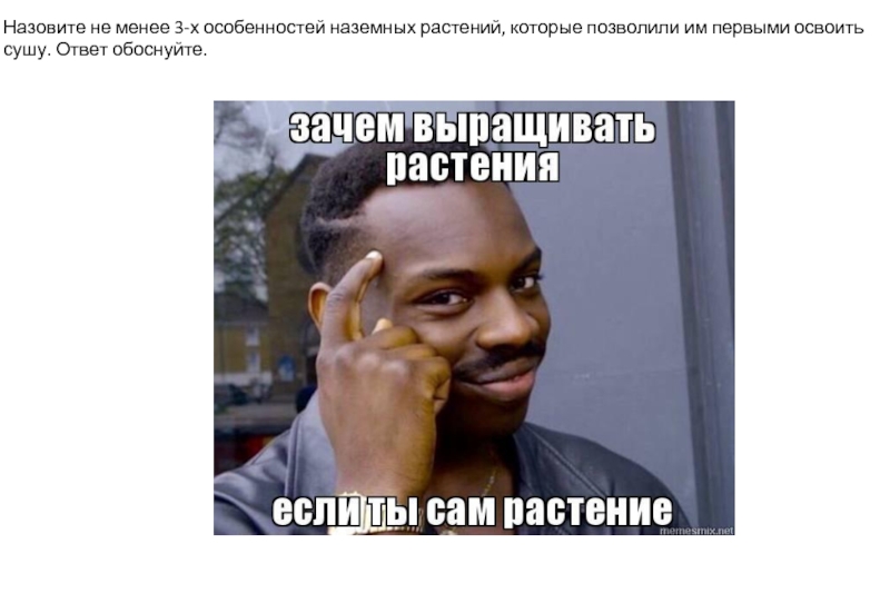 Обоснуй. Ответ на обоснуй. Обоснуйте. Что ответить на обоснуй.