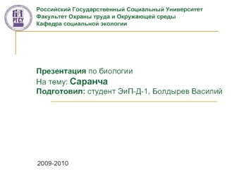 Саранча - насекомые из семейства Acridiodea