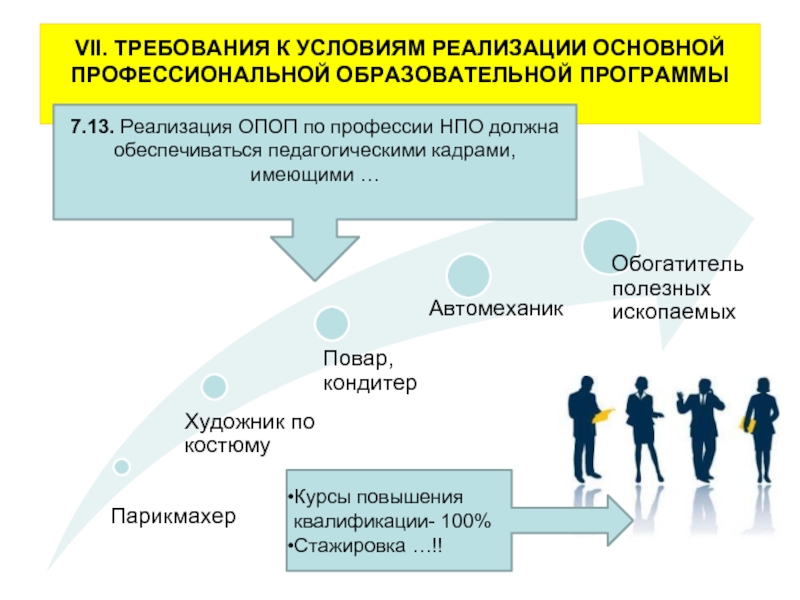 Основное профессиональное образование. Требования к условиям реализации ОПОП. Реализация основной профессиональной программы. Требования педагогическими кадрами. Базовый профессиональный курс.