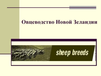 Овцеводство в Новой Зеландии